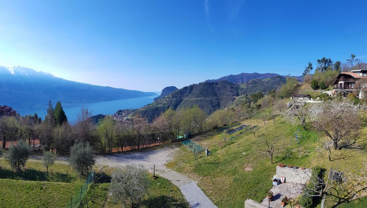 Teresa Campi Apartments Lake View By Gardadomusmea Tremosine Exterior foto